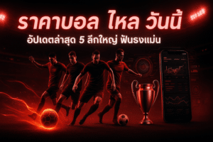 ราคาบอล ไหล วันนี้